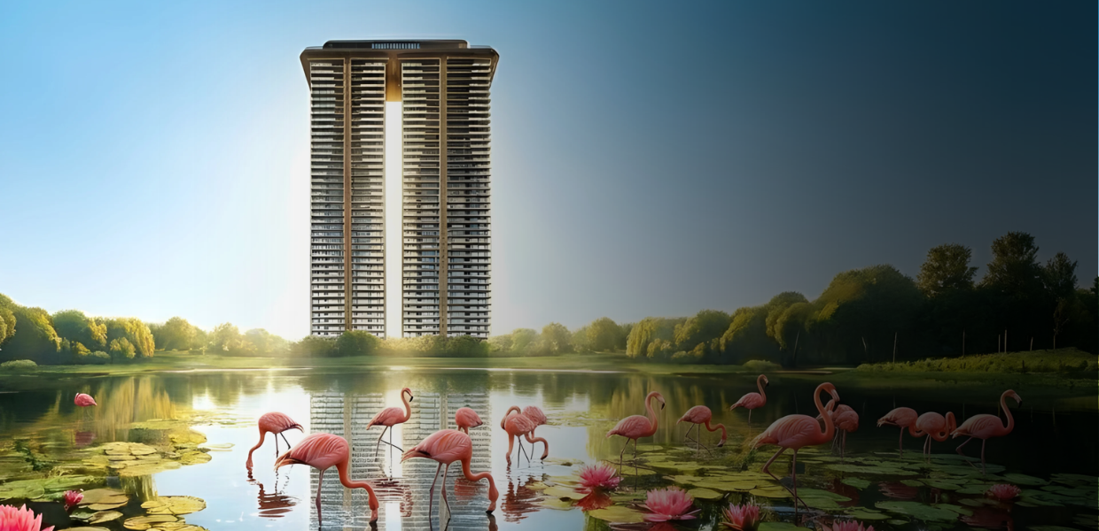DLF Senior living